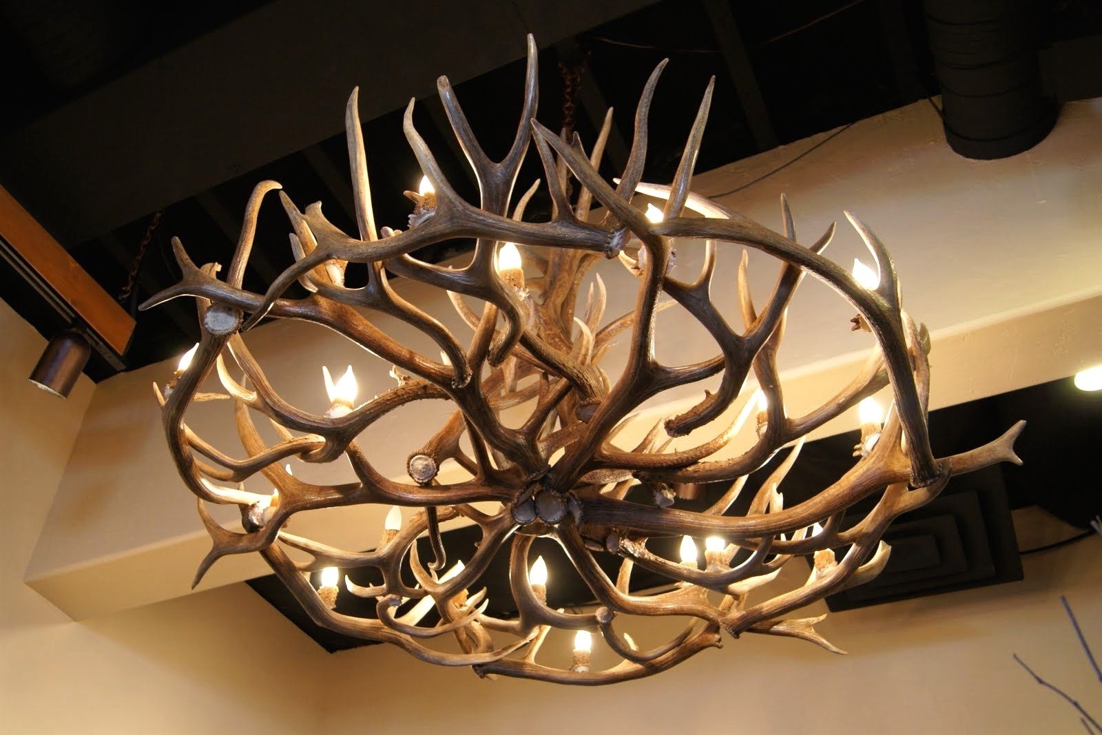 Turquoise Antler Chandeliers In Fashionable Chandeliers Design : Fabulous Unique Antler Chandelier Wonderful (View 4 of 20)