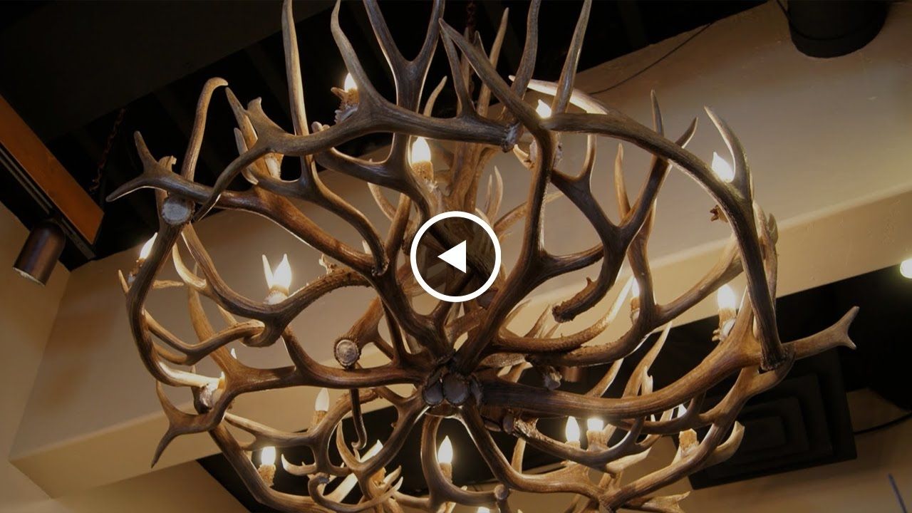 Antlers Chandeliers In Favorite 9 Things To Do With The Antlers From Your Harvest — Wide Open (View 15 of 20)