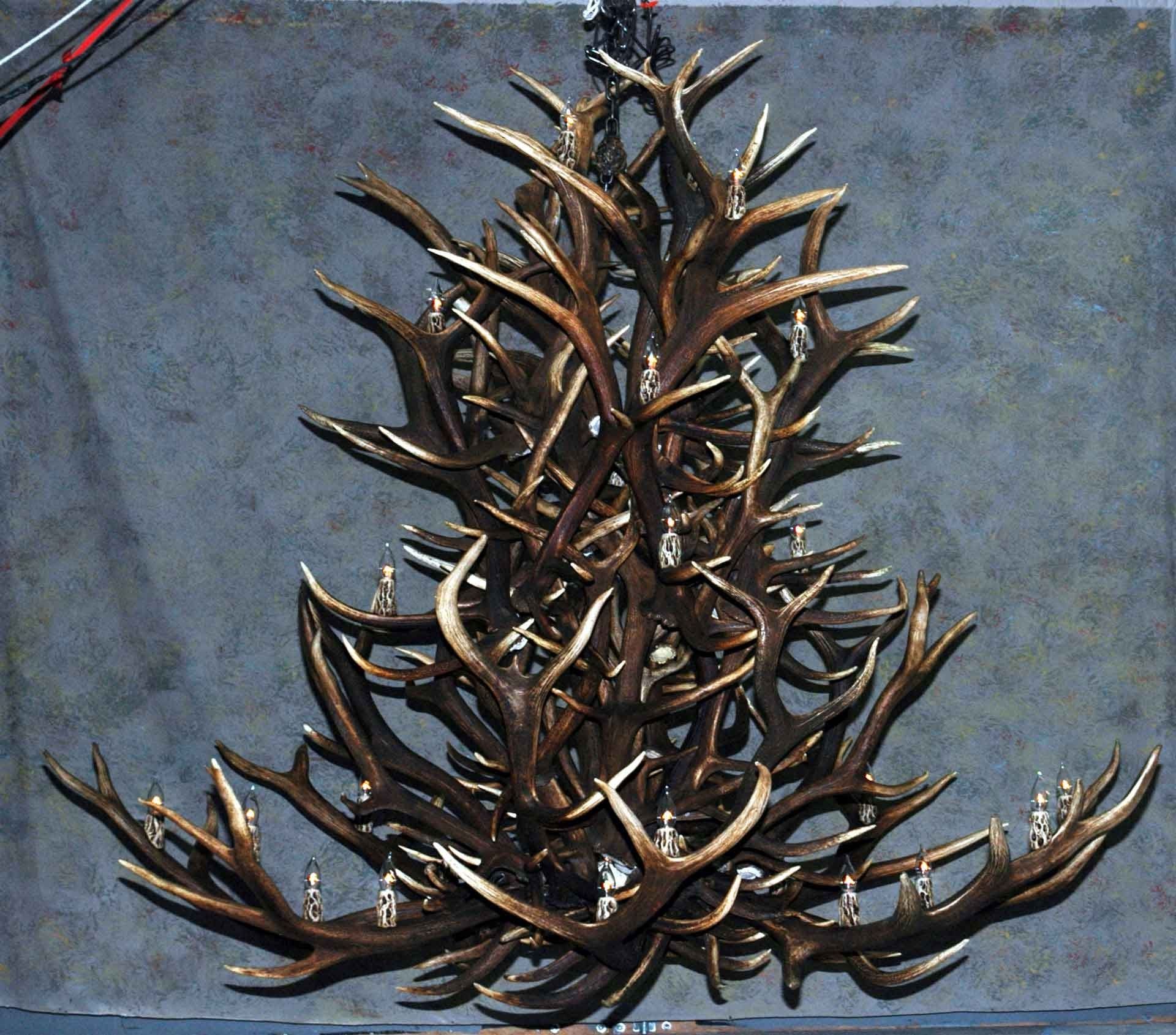 Large Antler Chandelier For Best And Newest Antler Chandeliers, Deer Antler Chandelier, Deer Antler Lamps (View 4 of 20)