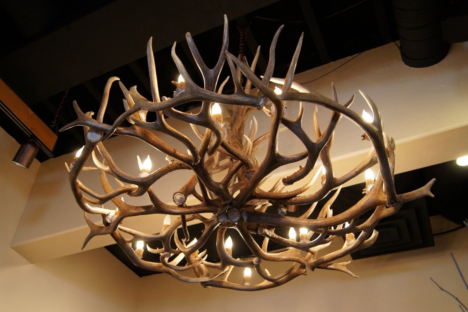 Well Known Large Antler Chandelier Pertaining To Make Deer Antler Chandelier — New Decoration : Unique Antler (View 18 of 20)