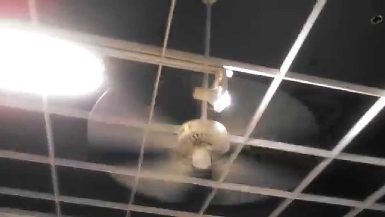 Hunter Original And Craftmade Ceiling Fans In A Kmart Little Caesars In Popular Kmart Outdoor Ceiling Fans (View 2 of 20)