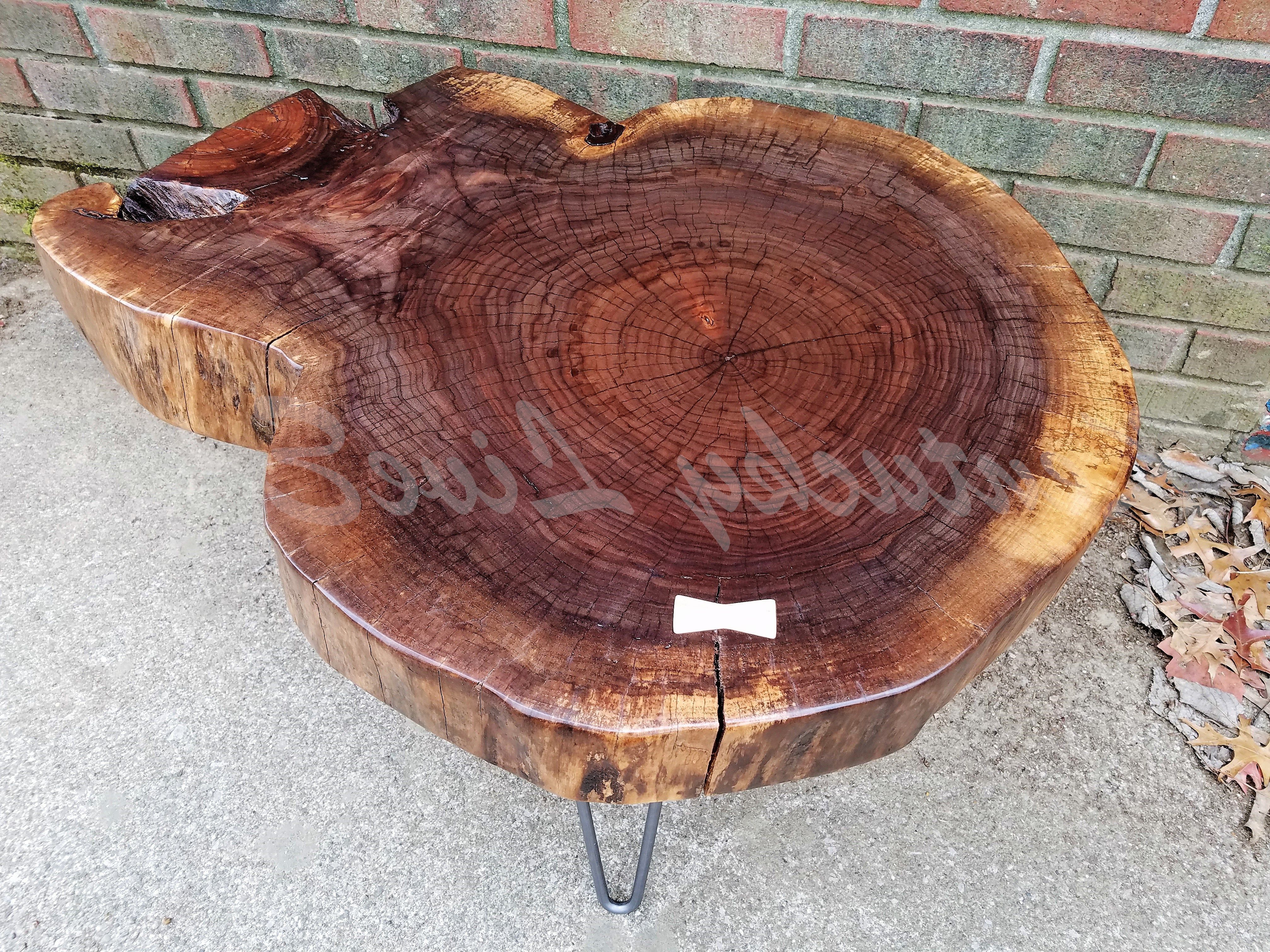 Widely Used Sliced Trunk Coffee Tables Inside Custom Live Edge Coffee Table  Round Table  Tree Slice  Log Table (View 15 of 20)