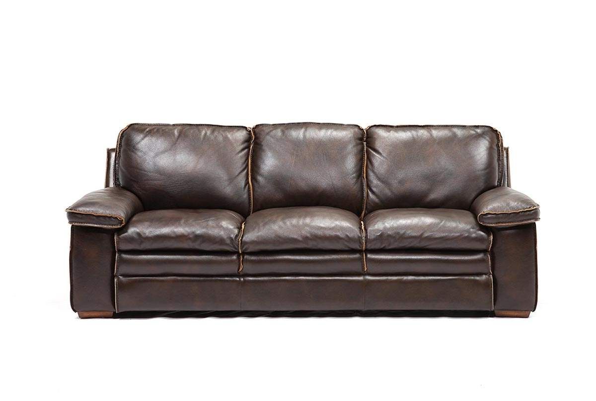 Walter Leather Sofa (Photo 1 of 20)