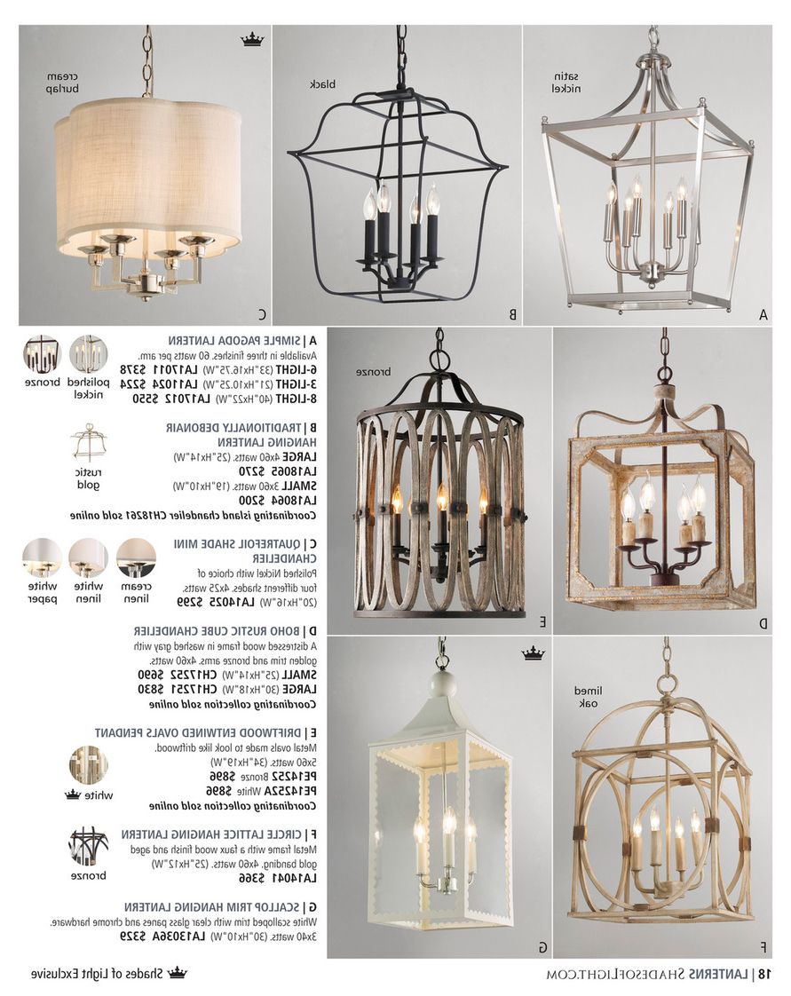 Driftwood Lantern Chandeliers Throughout Current Shades Of Light – Exotic Elegance 2020 – Driftwood Entwined Ovals Pendant –  5 Light (View 3 of 15)