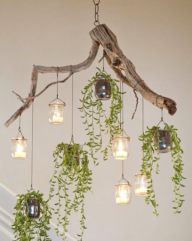 Driftwood Lantern Chandeliers Within Current Upcycle That On Twitter: "lovely Green Driftwood Chandelier #upcycle  #succulents Https://t (View 7 of 15)