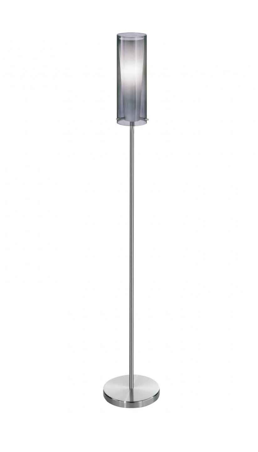 2020 Eglo Pinto Contemporary Floor Lamp In Steel And Glass For Glass Satin Nickel Floor Lamps (View 11 of 15)