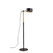 Widely Used Cordless Floor Lamps Pertaining To Modern & Contemporary Battery Powered Floor Lamps (View 15 of 15)