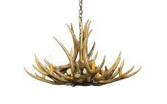 20 Collection of Antler Chandelier