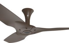20 Photos Outdoor Ceiling Fans with Covers