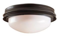 Top 20 of Outdoor Ceiling Fans with Light Globes