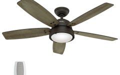  Best 20+ of Hunter Outdoor Ceiling Fans with Lights and Remote