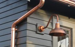 20 Best Lainey Outdoor Barn Lights