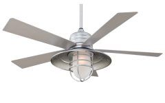 20 The Best Coastal Outdoor Ceiling Fans