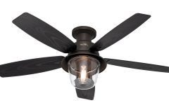 20 The Best Small Outdoor Ceiling Fans with Lights