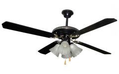 The 20 Best Collection of Outdoor Ceiling Fans at Menards