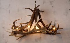 20 Best Collection of Stag Horn Chandelier