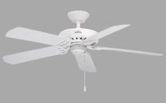 20 Collection of Hunter Outdoor Ceiling Fans with White Lights
