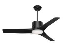 Black Outdoor Ceiling Fans with Light